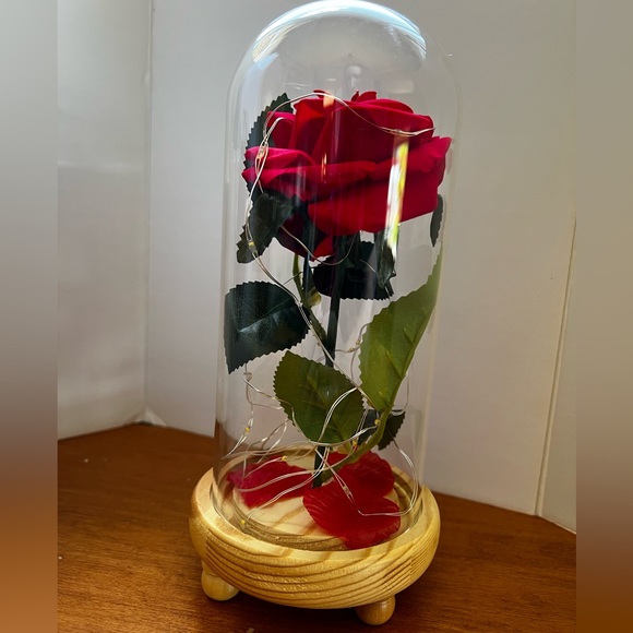 Enchanted Rose with lights in glass dome. - Picture 5 of 5